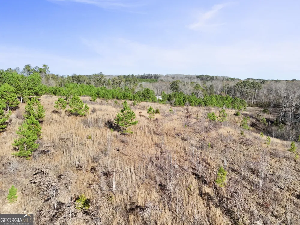 52.2 AC Franklin PKWY Franklin, GA 30217