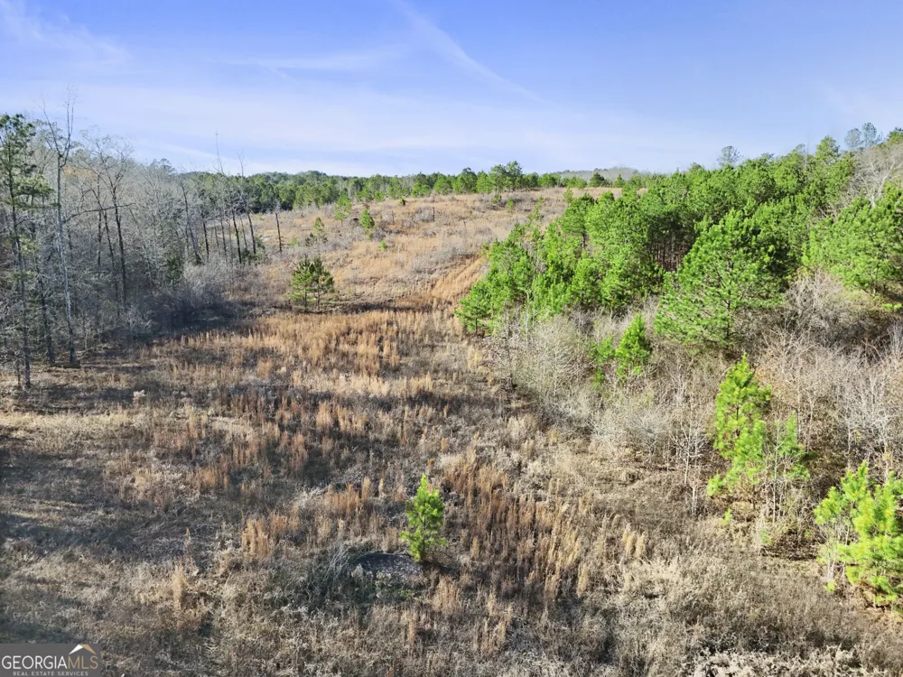 52.2 AC Franklin PKWY Franklin, GA 30217