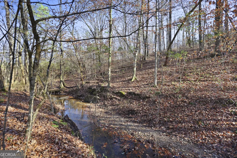 52.2 AC Franklin PKWY Franklin, GA 30217
