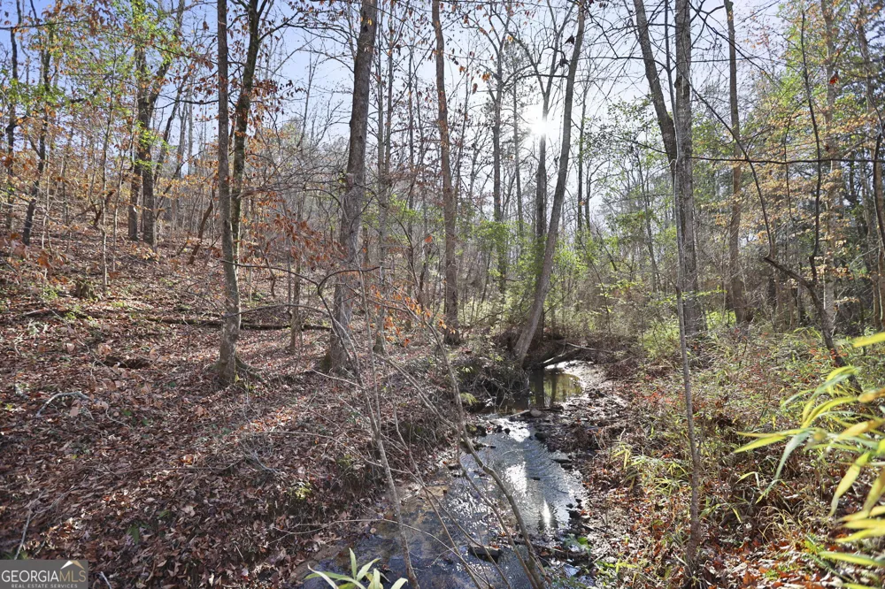 52.2 AC Franklin PKWY Franklin, GA 30217