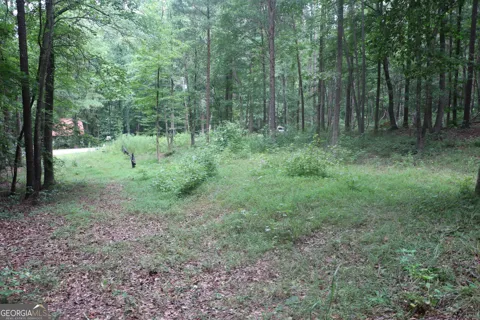 304 Mountain View RD