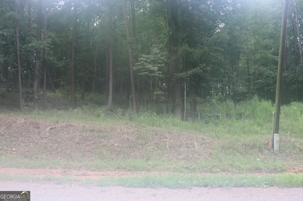 304 Mountain View RD Lavonia, GA 30553