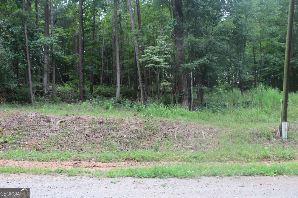 304 Mountain View RD Lavonia, GA 30553