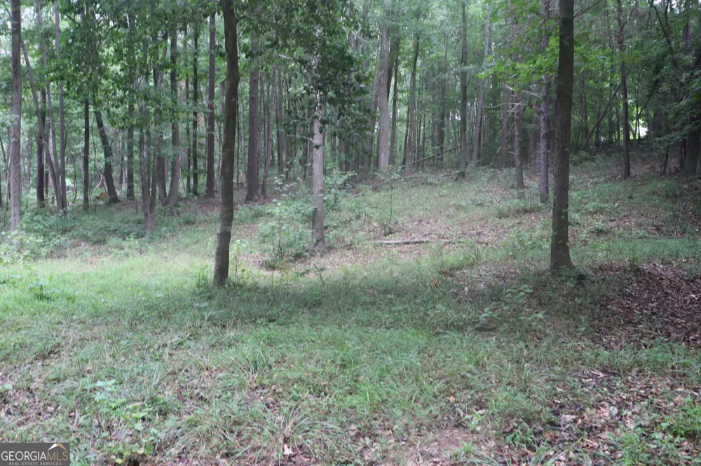 304 Mountain View RD Lavonia, GA 30553