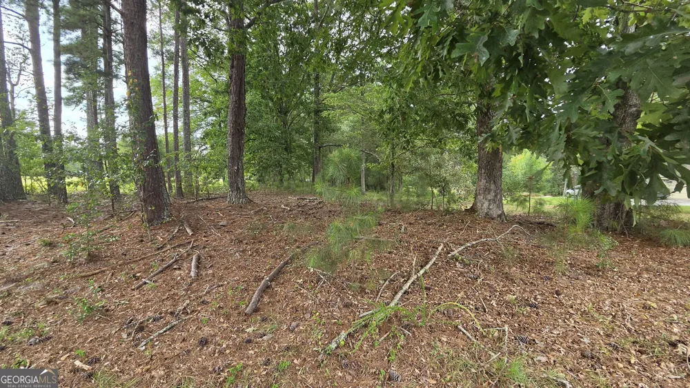 LOT 2 Ginger Cake RD Fayetteville, GA 30214