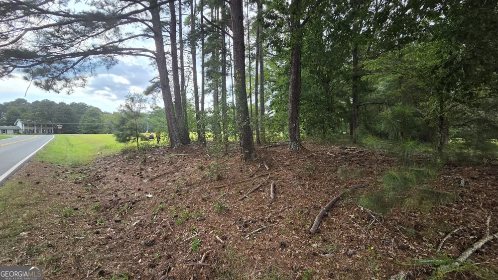 LOT 2 Ginger Cake RD Fayetteville, GA 30214