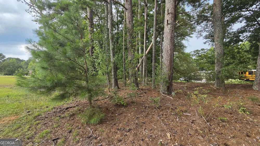 LOT 2 Ginger Cake RD Fayetteville, GA 30214
