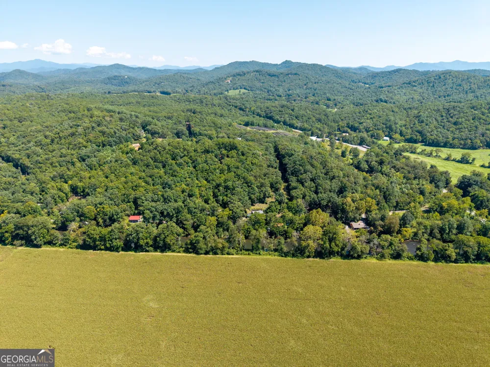 162 Hiawassee River Road RD Brasstown, NC 28902