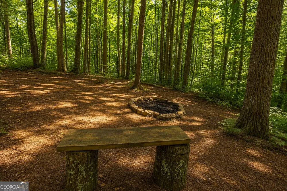 11296 Old Ccc Camp RD Chatsworth, GA 30705