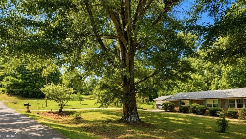 3931 Green DR Gainesville, GA 30506