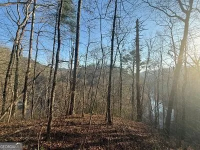 0 Elk TRL Talking Rock, GA 30175