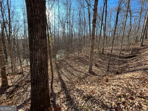 LOT #2 Forest Canopy WAY