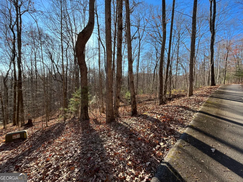 LOT #2 Forest Canopy WAY Clayton, GA 30525