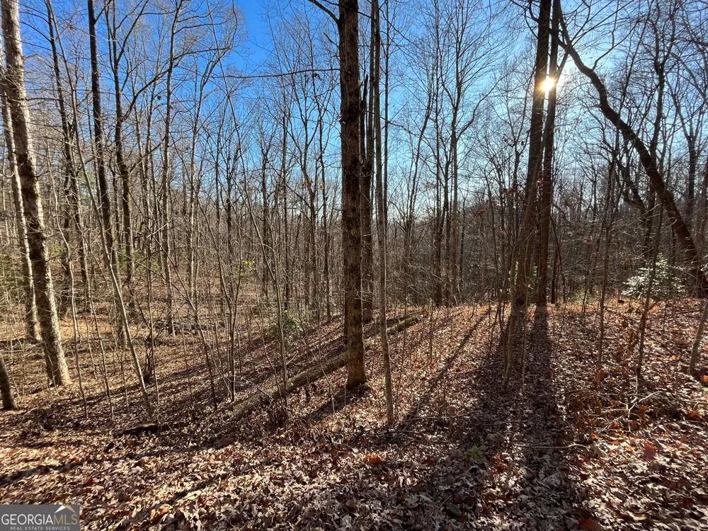 LOT #2 Forest Canopy WAY Clayton, GA 30525