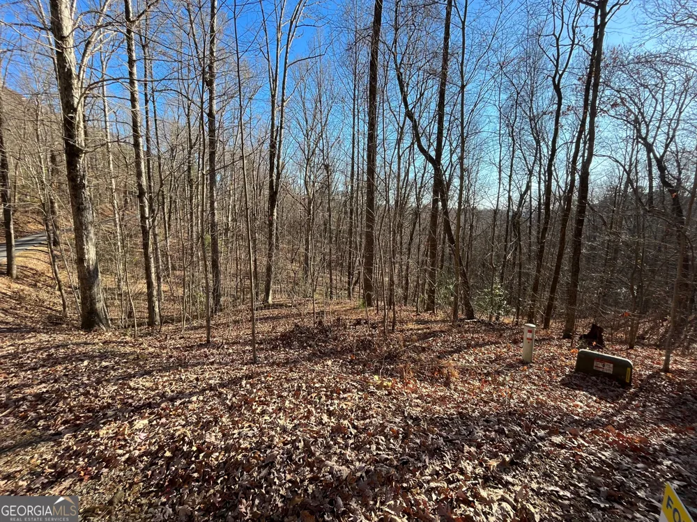 LOT #2 Forest Canopy WAY Clayton, GA 30525