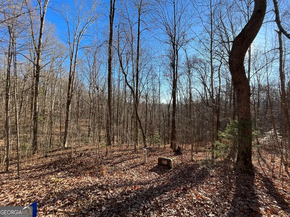 LOT #2 Forest Canopy WAY Clayton, GA 30525