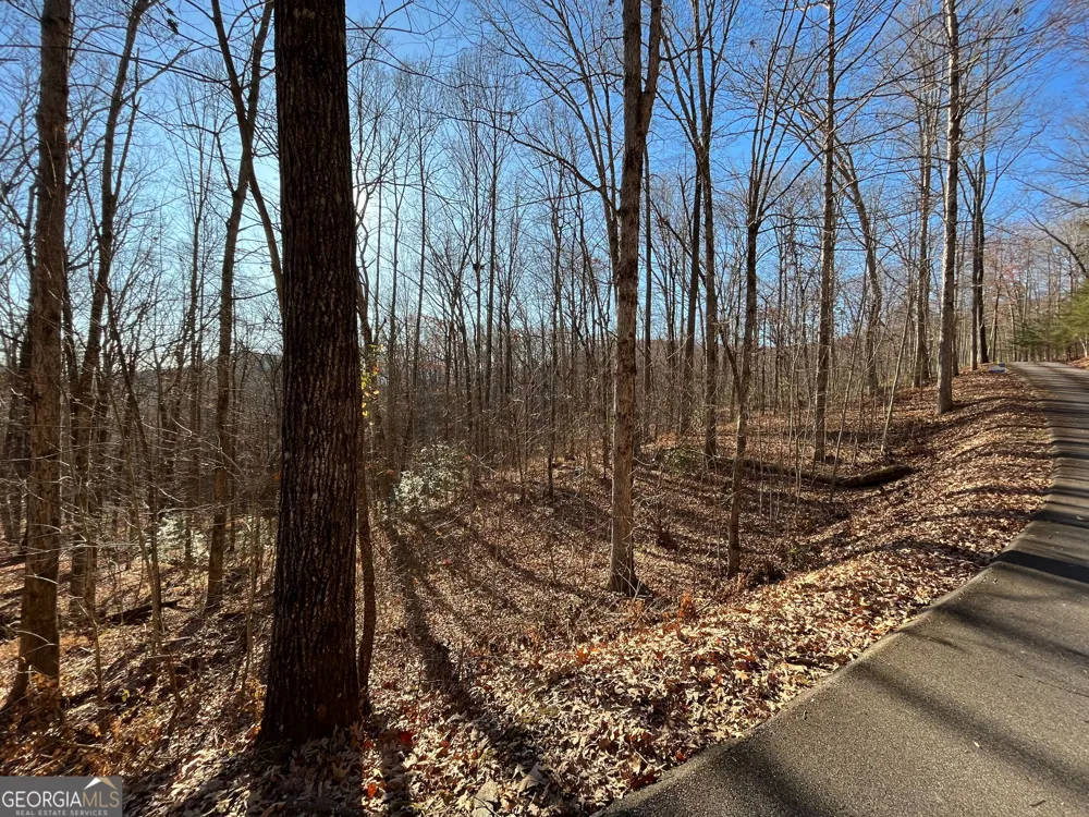 LOT #2 Forest Canopy WAY Clayton, GA 30525