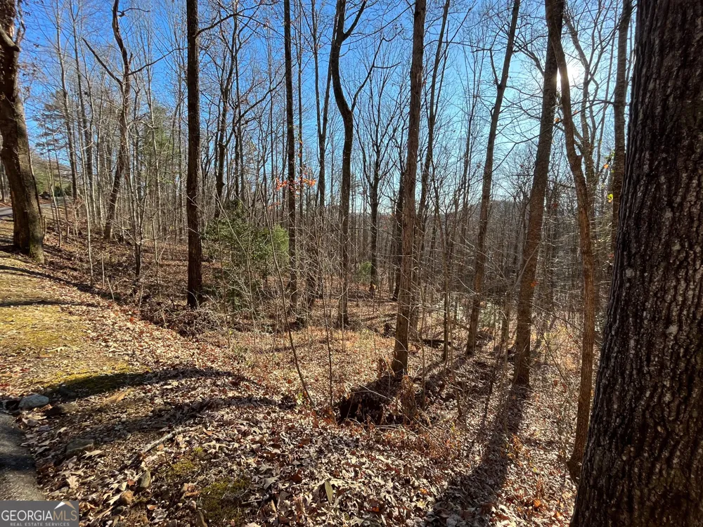 LOT #2 Forest Canopy WAY Clayton, GA 30525