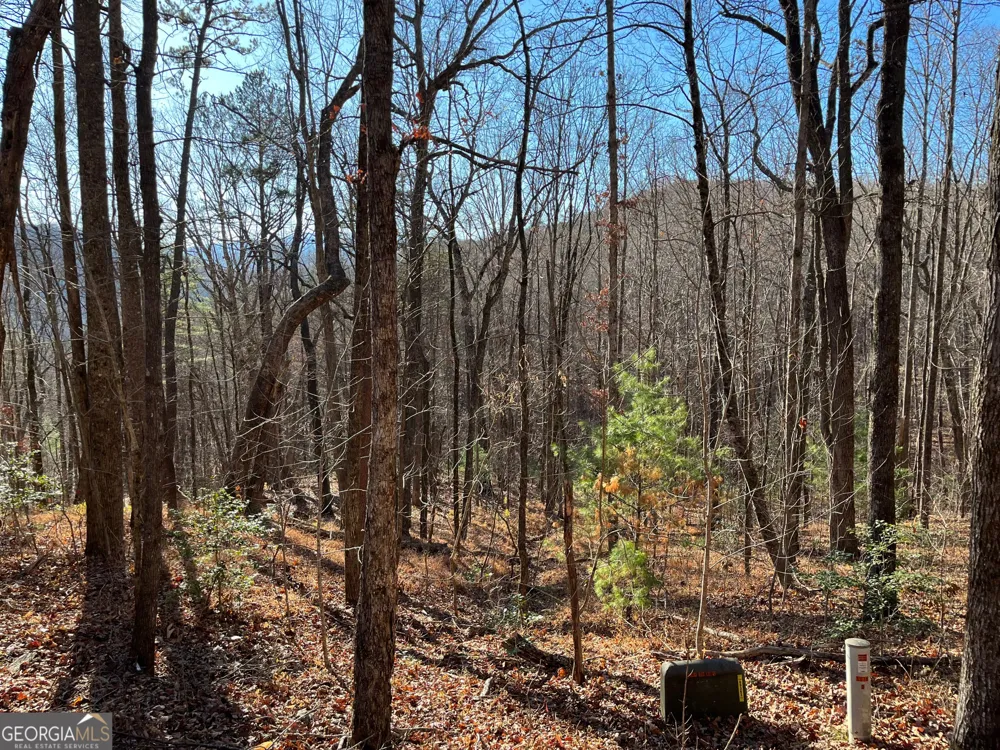 LOT #1 Forest Canopy WAY Clayton, GA 30525