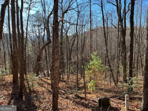 LOT #1 Forest Canopy WAY