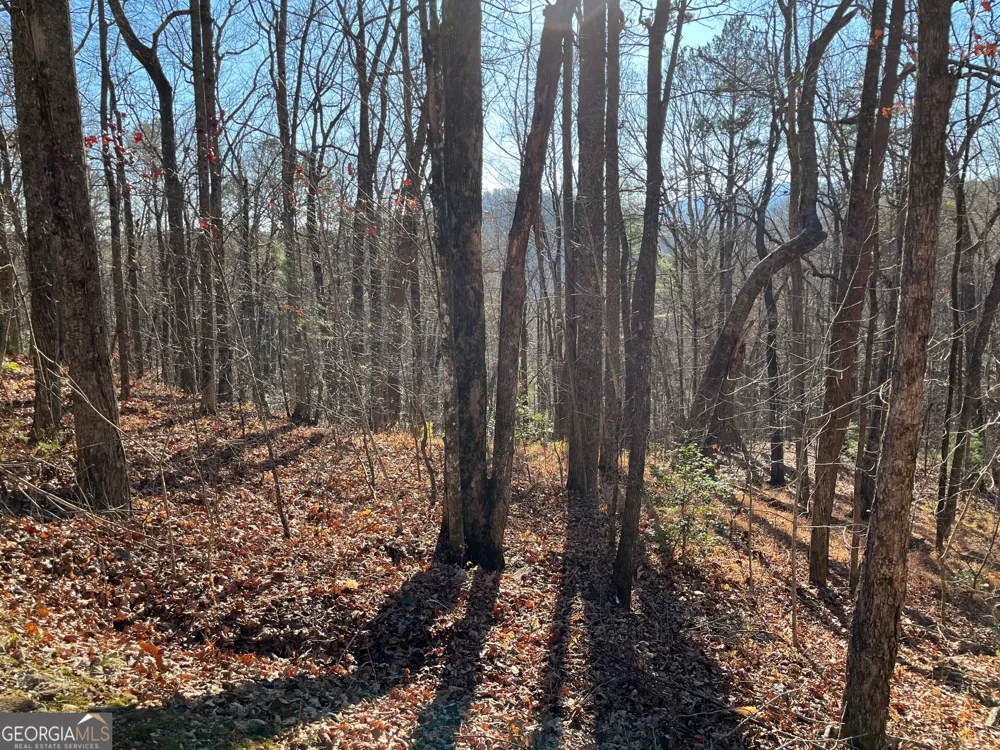 LOT #1 Forest Canopy WAY Clayton, GA 30525