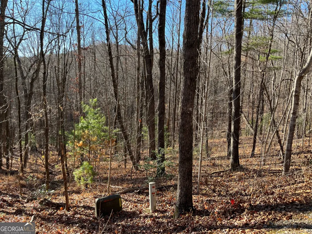 LOT #1 Forest Canopy WAY Clayton, GA 30525