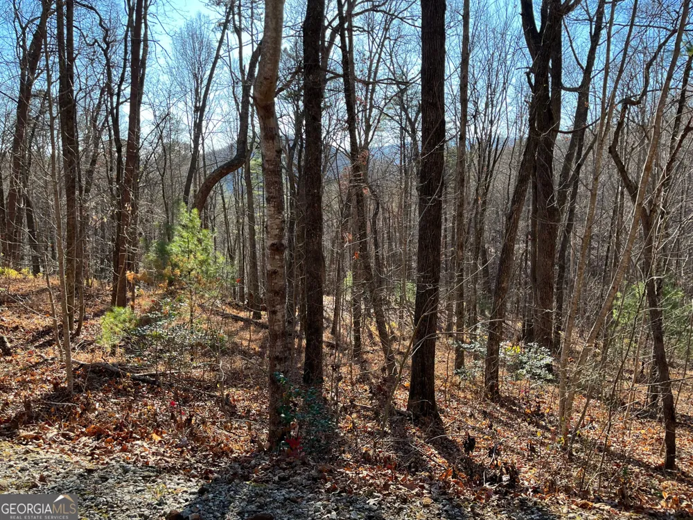 LOT #1 Forest Canopy WAY Clayton, GA 30525