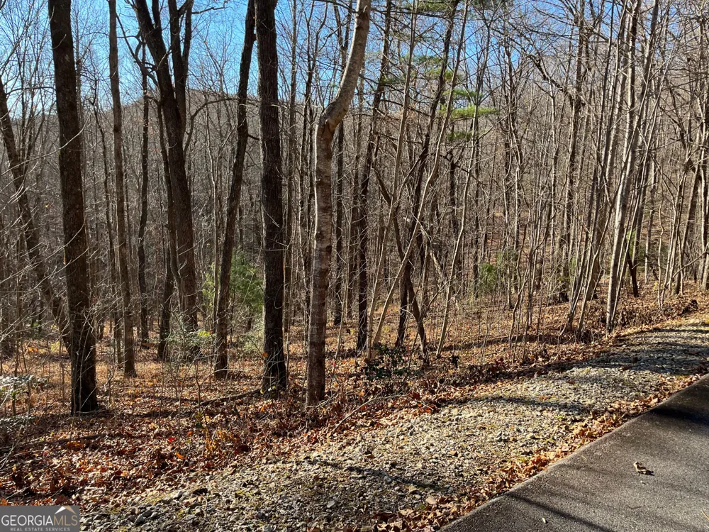 LOT #1 Forest Canopy WAY Clayton, GA 30525