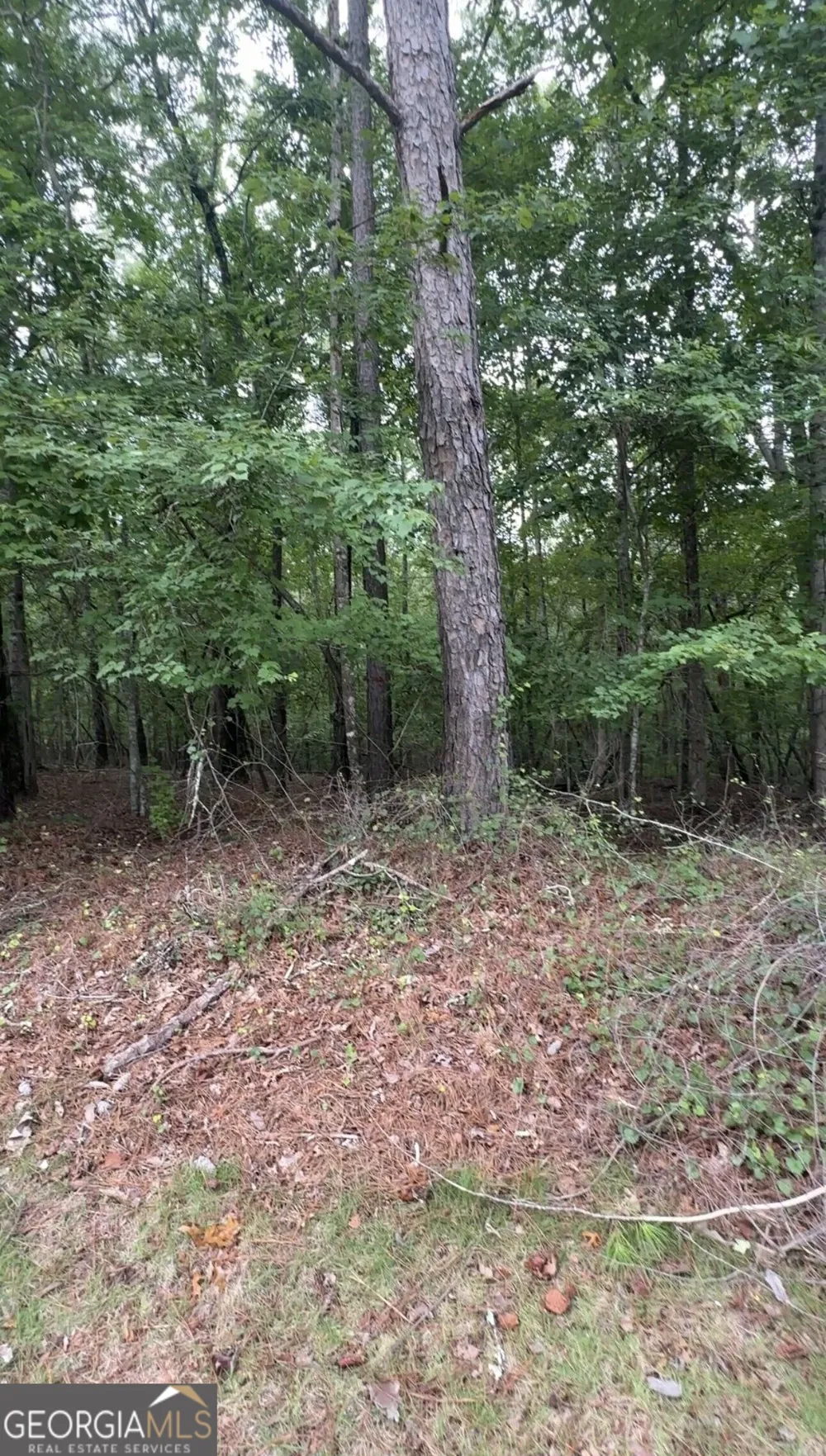 5850 Double Birch Douglasville, GA 30135