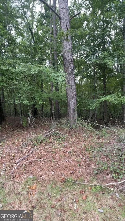 5850 Double Birch