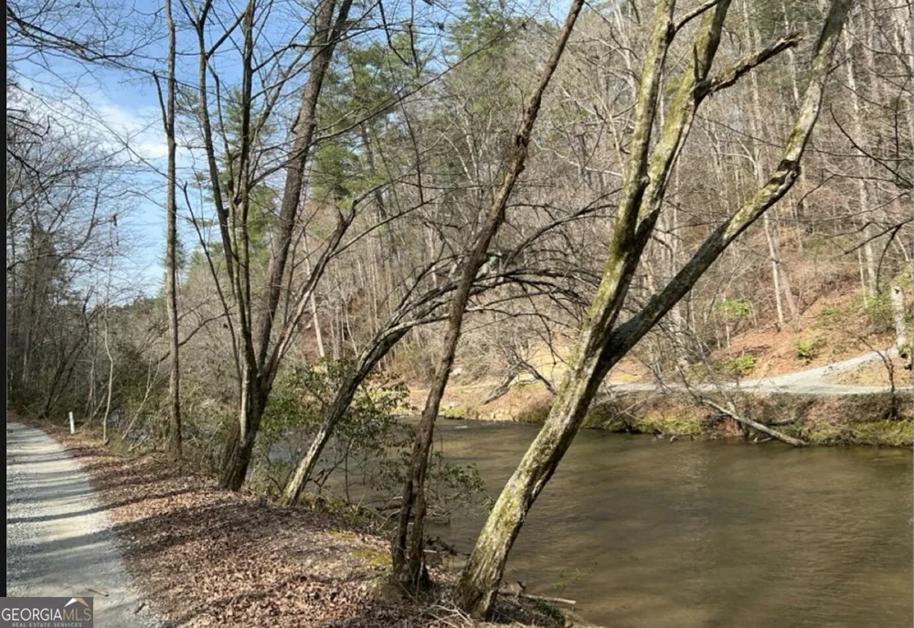 32R Roaring Forks LN East Ellijay, GA 30540