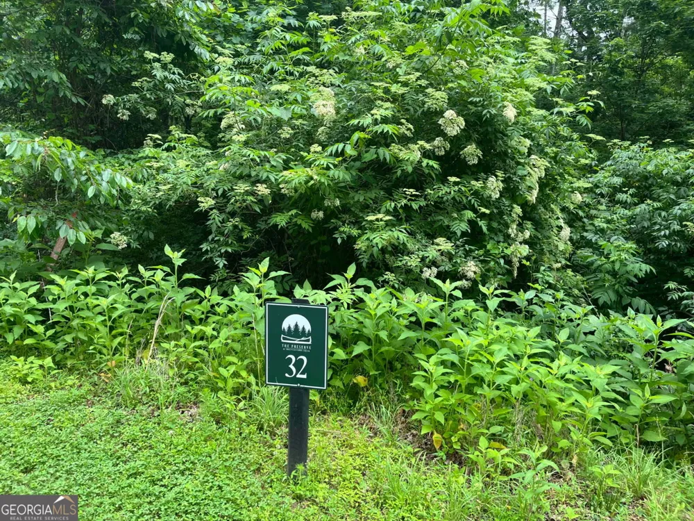 32R Roaring Forks LN East Ellijay, GA 30540