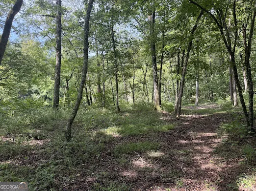 331 Rushing River Rd Talking Rock, GA 30175