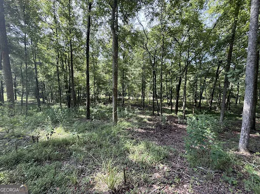 331 Rushing River Rd Talking Rock, GA 30175