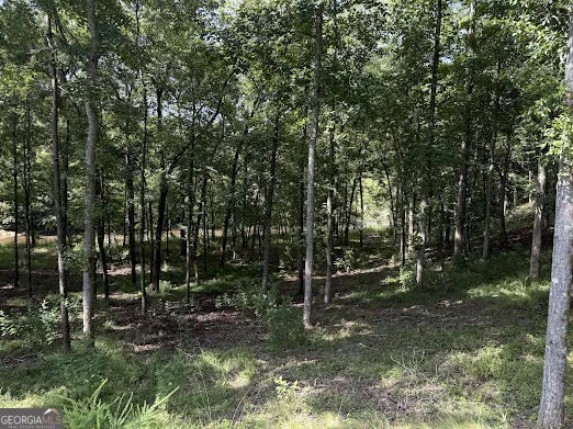 331 Rushing River Rd Talking Rock, GA 30175