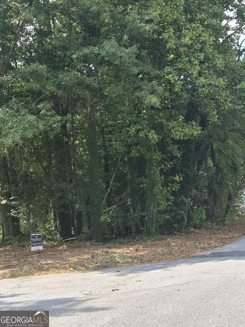 1077 Crooked Creek RD Lithonia, GA 30058