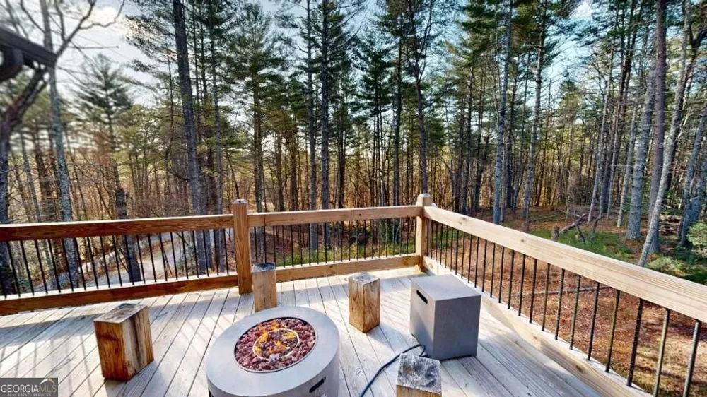 345 Deer TRL Mineral Bluff, GA 30559