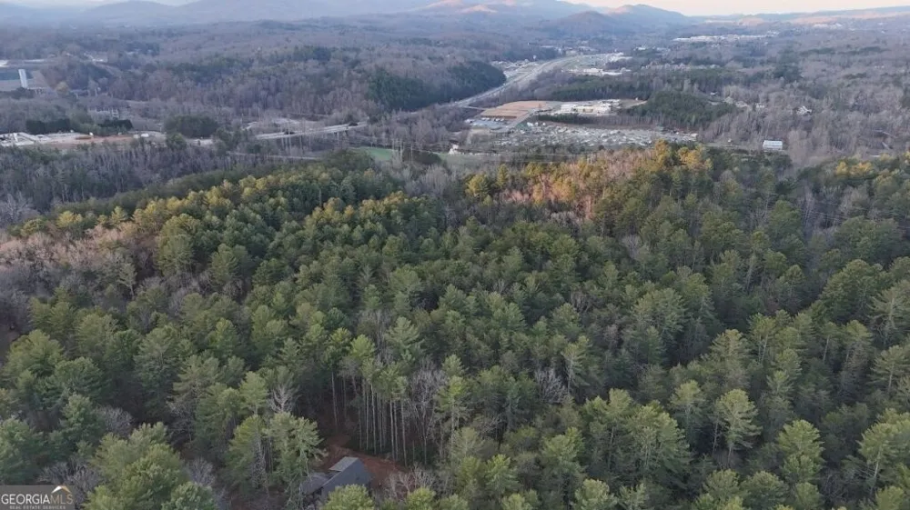 345 Deer TRL Mineral Bluff, GA 30559