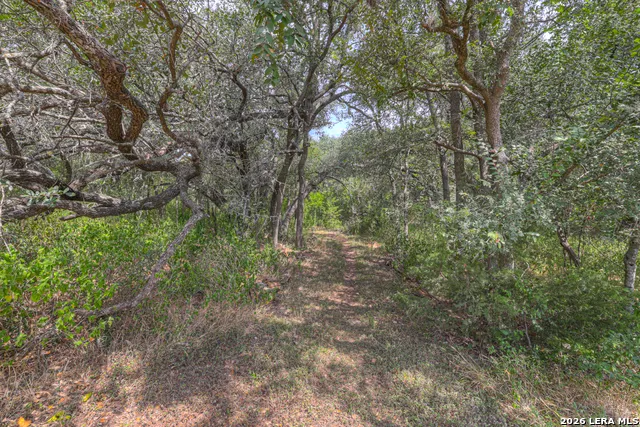921 Santa Cruz New Braunfels, TX 78132