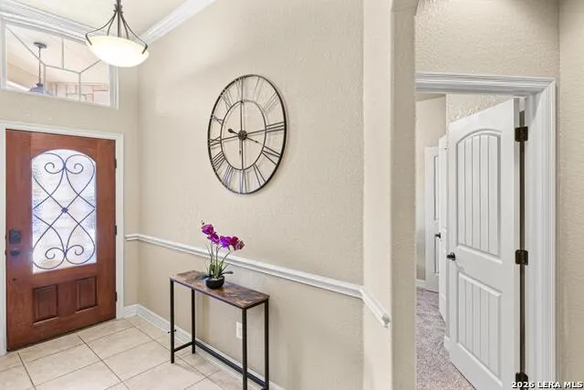 8003 Andrews Pass San Antonio, TX 78254