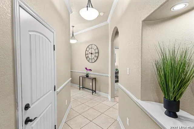 8003 Andrews Pass San Antonio, TX 78254
