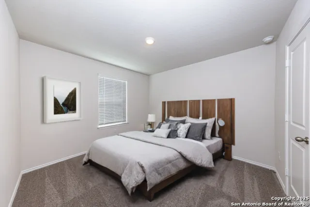 4831 Vogesite Path San Antonio, TX 78253