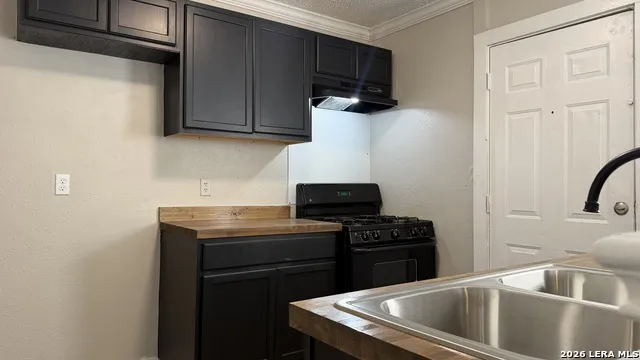 325 E French San Antonio, TX 78212