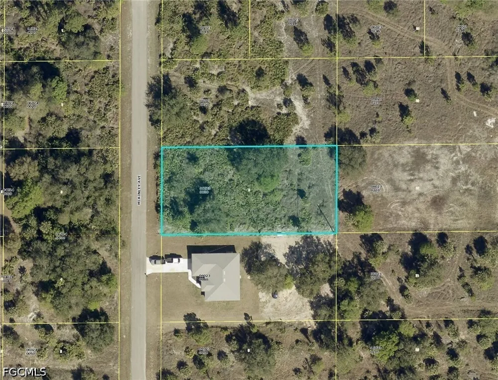 McKinley Avenue Lehigh Acres, FL 33972