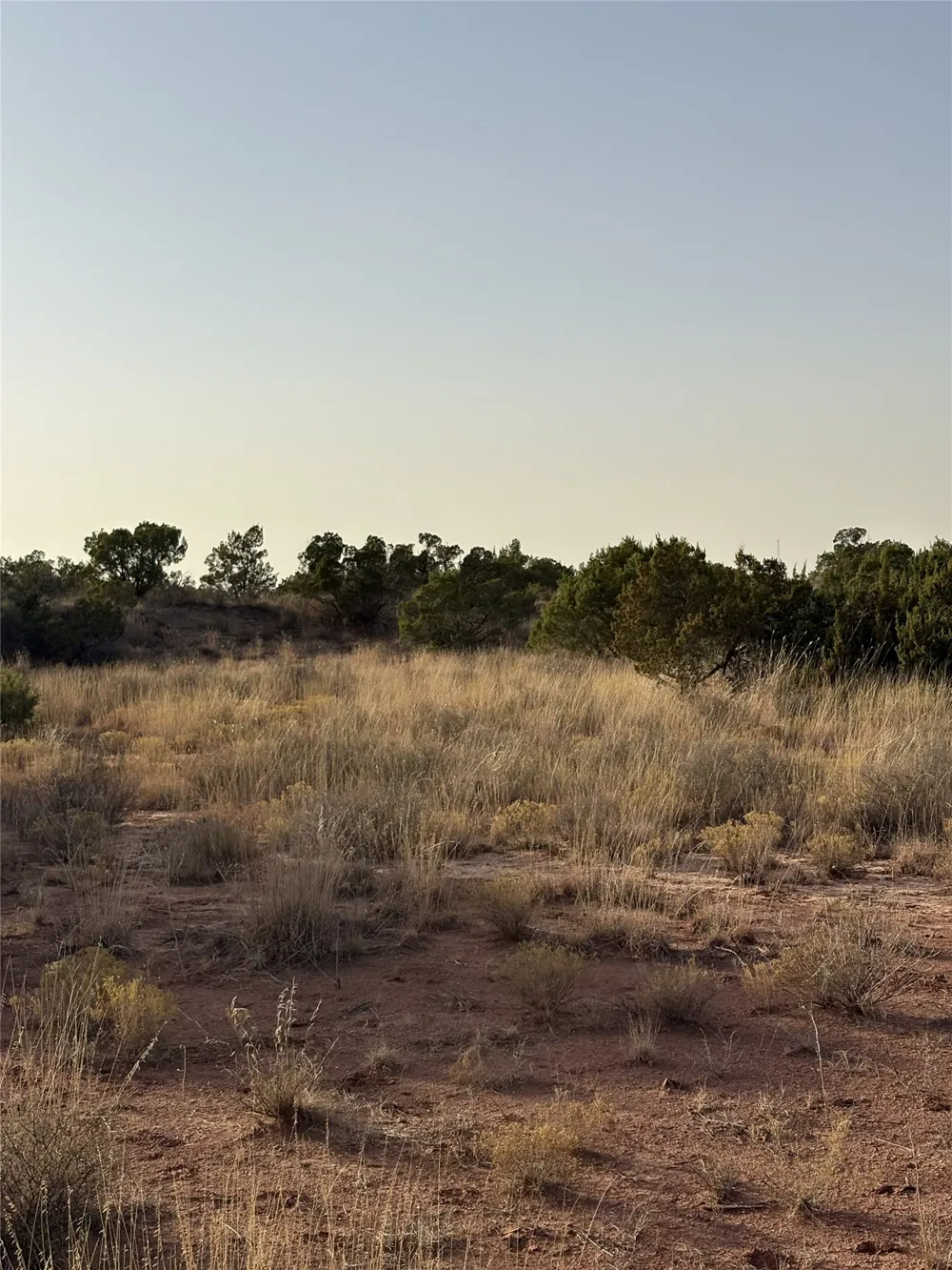 2777 County Road 3600 No City, TX 79227