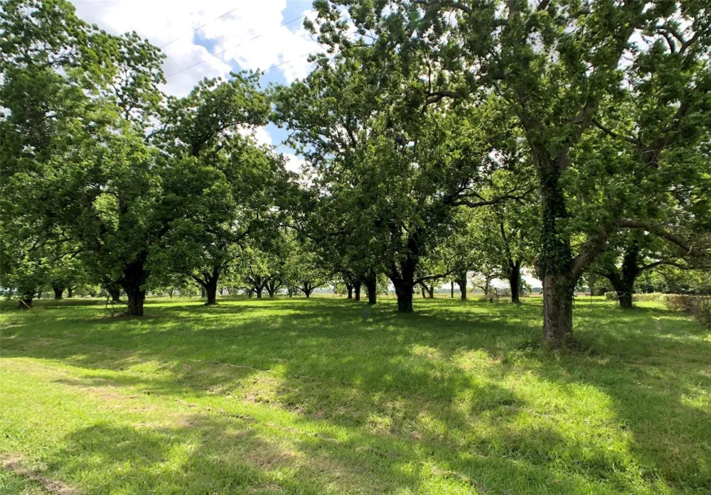 1 Orchard Drive Wharton, TX 77488