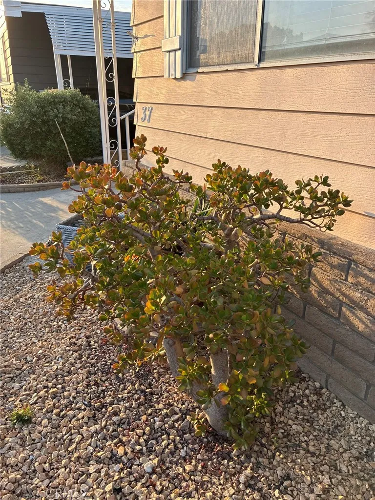 6741 Lincoln Avenue #37 Buena Park, CA 90620