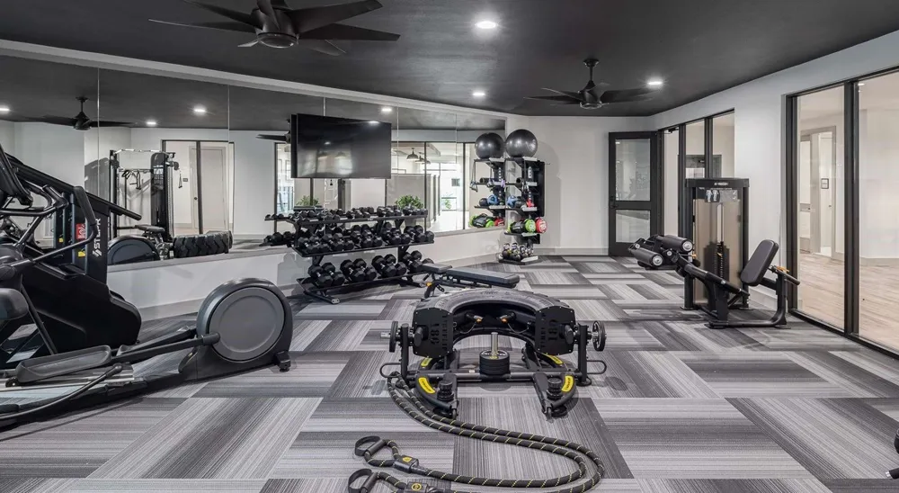 10850 Hammerly Boulevard #367 Hockley, TX 77043