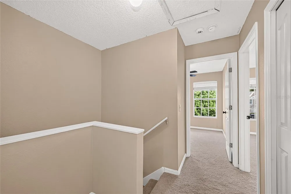 4319 DEERMONT CIRCLE Tampa, FL 33624