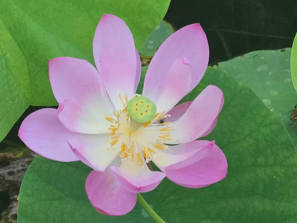 6707 Coquina Avenue Fort Pierce, FL 34951